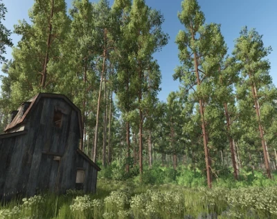 Forest Converter v1.0.0.0