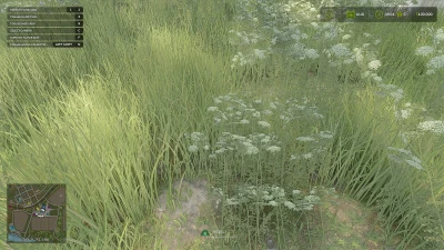 Grass Collection v1.0.0.0