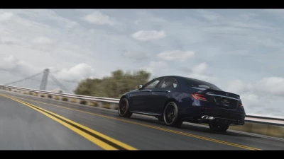 Mercedes-Benz E-Class W213 (E63) 0.39.x