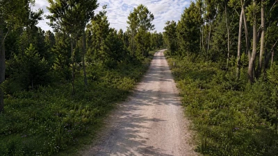 New England Forest Rally - With Rally Loop v1.0 0.39.x