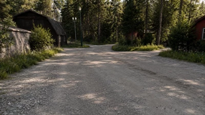 New England Forest Rally - With Rally Loop v1.0 0.39.x