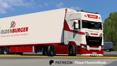 OLDENBURGER Skin v1.0