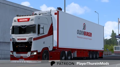 OLDENBURGER Skin v1.0