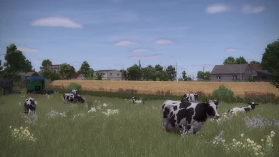 Rychława 4X v1.1.0.0