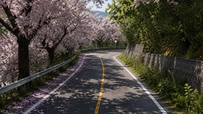 Sadamine Pass - Touge v1.4 0.39.x