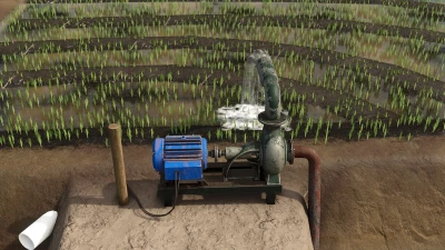 Southern Brazilian Rice Fields v1.0.0.0