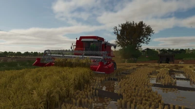Southern Brazilian Rice Fields v1.0.0.0
