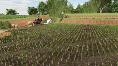 Southern Brazilian Rice Fields v1.0.0.0