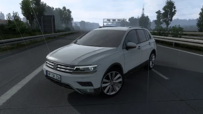 Volkswagen Tiguan 2020 v1.5