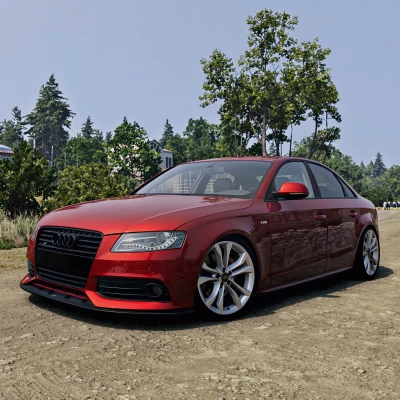 Audi A4/S4 (B8) v1.7 0.39.x