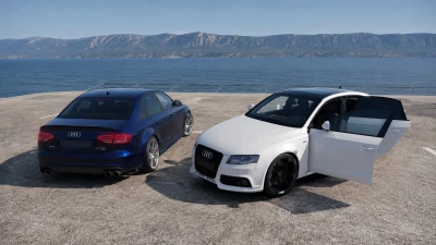 Audi A4/S4 B8 v1.7 0.39.x