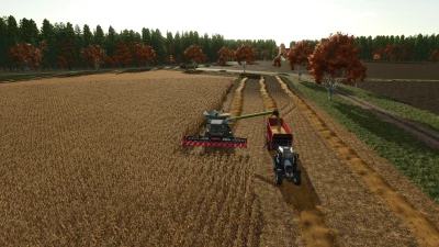 Birkental Map v1.0.0.0