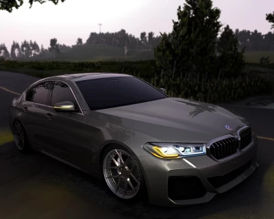 BMW 5-Series G30/F90 PACK Domestic V1.1 0.39.x