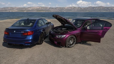 BMW M3 F80 v1.1 0.39.x