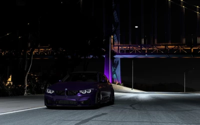 BMW M3 F80 v1.1 Domestic 0.39.x