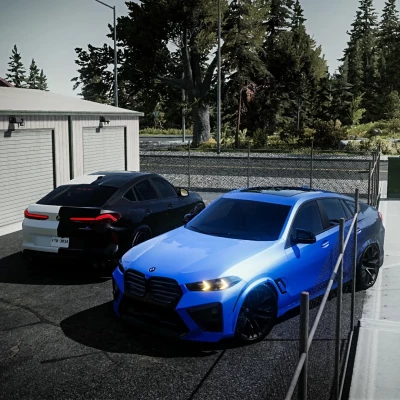 BMW X6M F96 LXR V1.3.1 0.39.x
