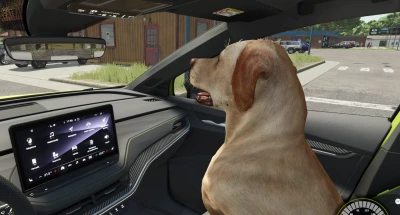 Compagnon canin v1.0.0.0