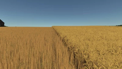 Improved Wheat XML v1.0.0.0