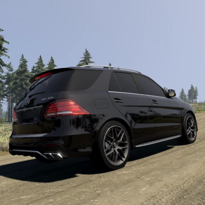 Mercedes-Benz ML/GLE (W166) v2.0 0.39.x