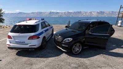 Mercedes-Benz ML/GLE W166 v2.0 Rework 0.39.x