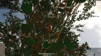 New Apple Tree v1.0.0.0