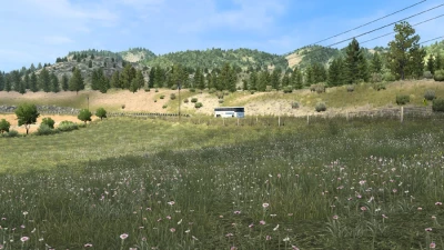 New Summer v4.5