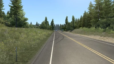New Summer v4.5
