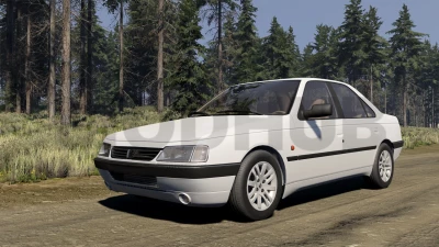 Peugeot 405 v1.0 0.39.x