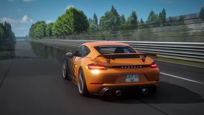 Porsche Cayman 2017-2025 V2.2 0.39.x
