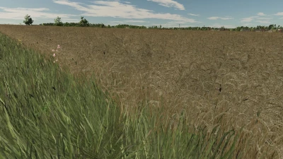 Realistic texture of ripe wheat v1.0.0.0