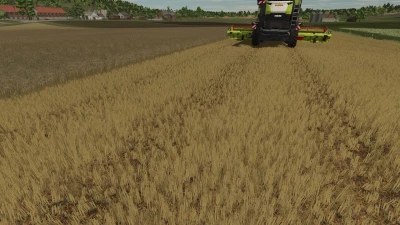 Realistic texture of ripe wheat v1.0.0.0