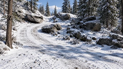 Snowtrax v1.3 0.39.x