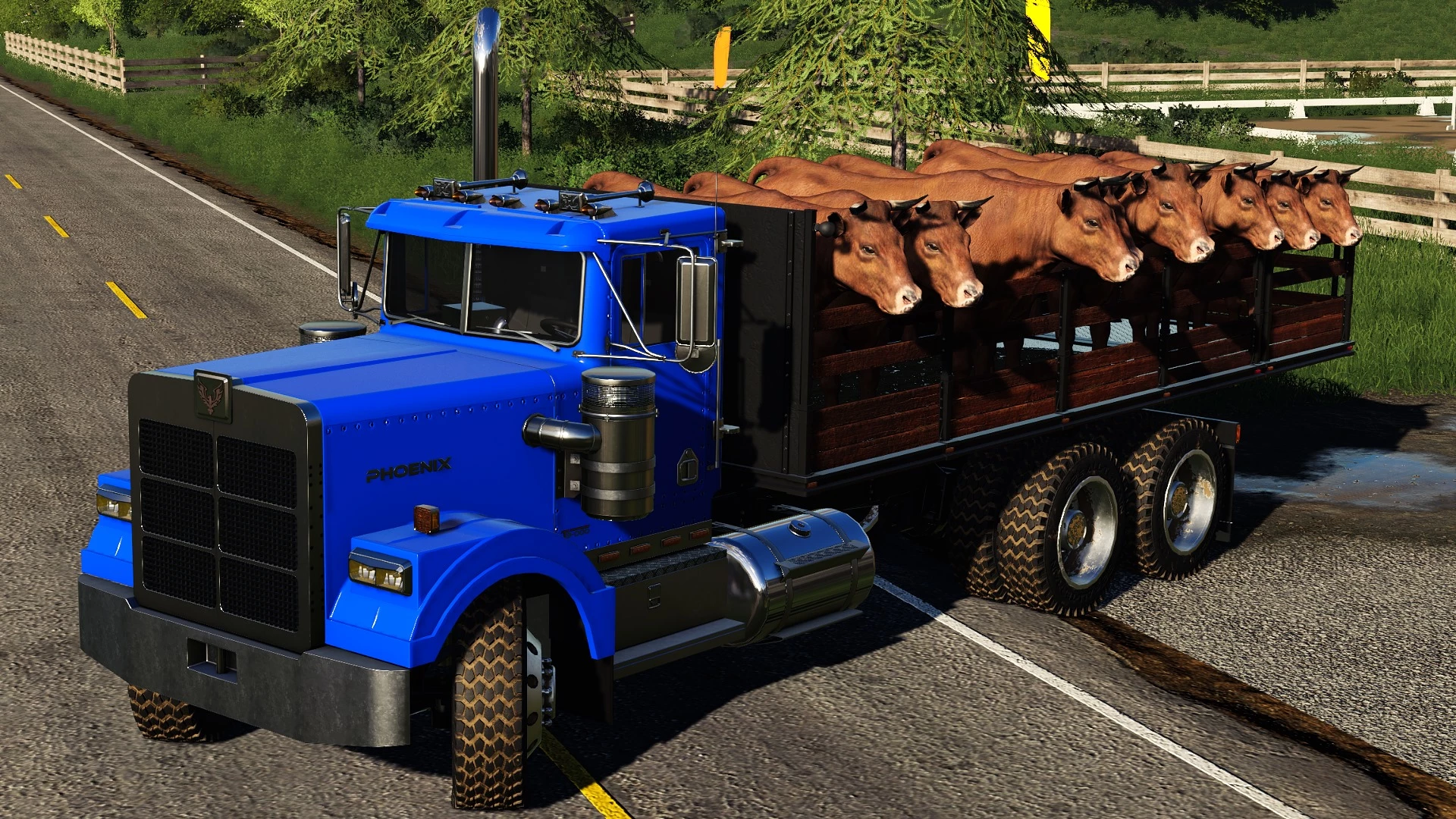 Sent for Giants to be TESTED!