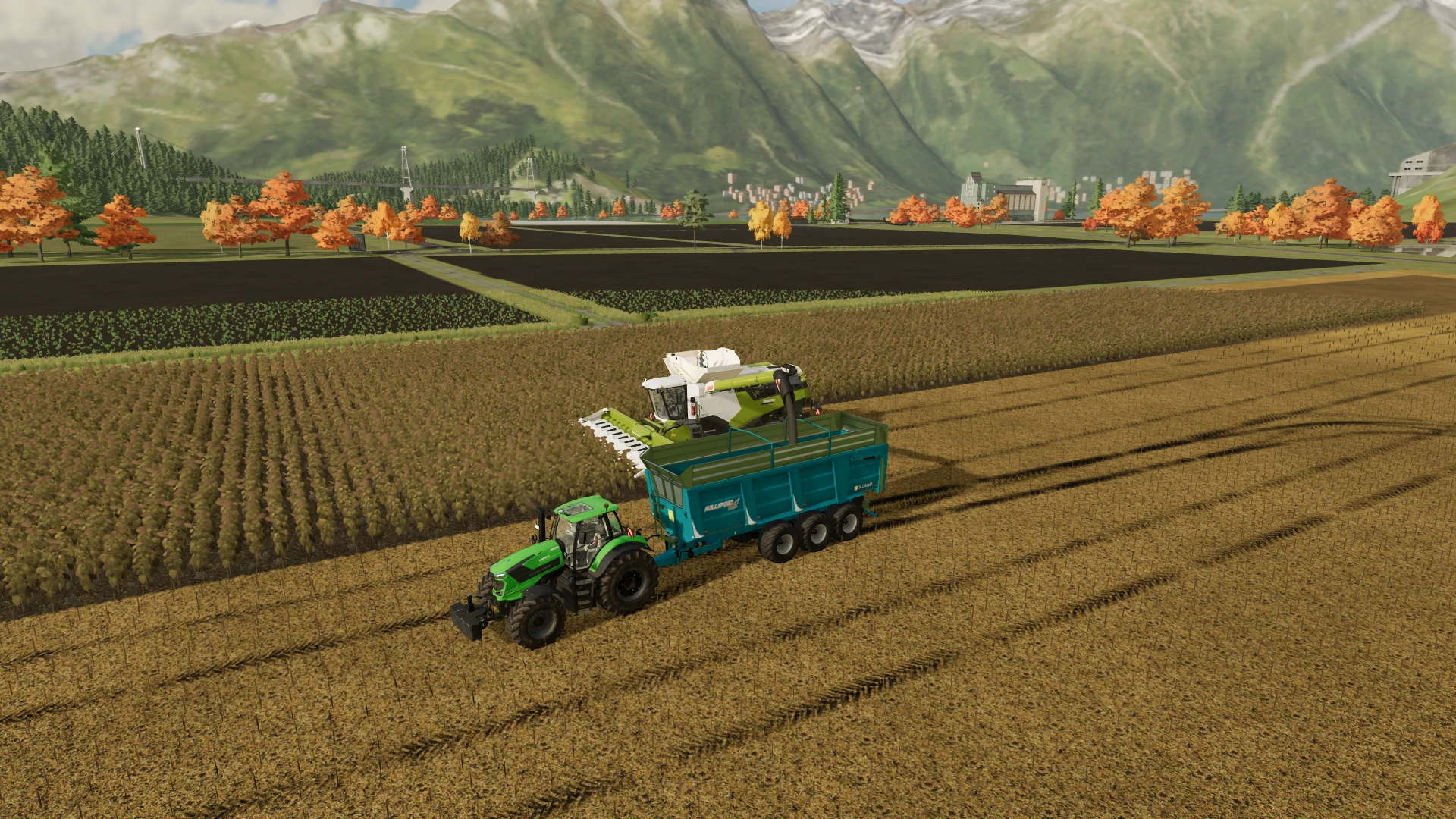 Small sunflower harvest