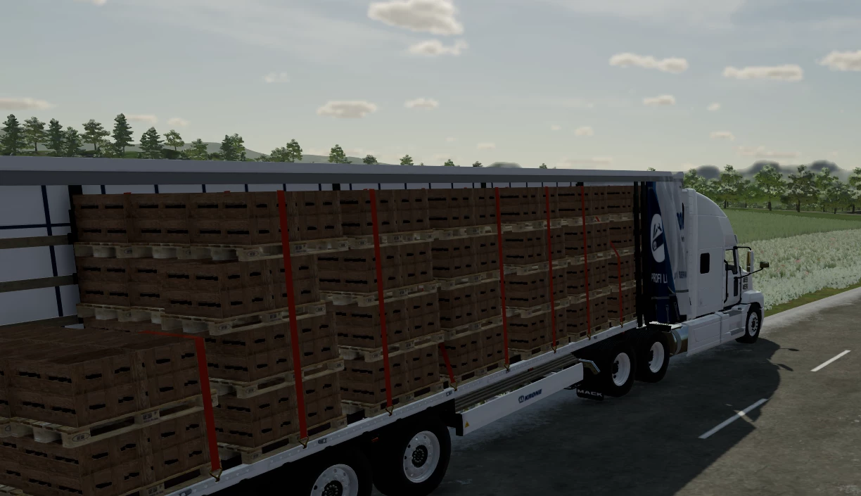 they worked hard the little bees