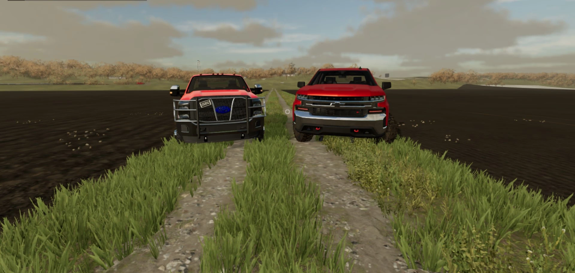 life on the wild side