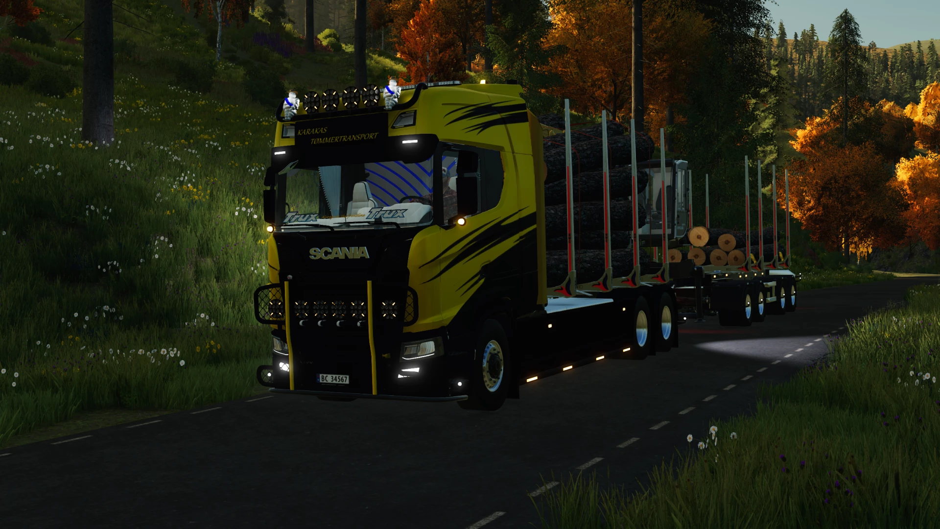 My new timber truck