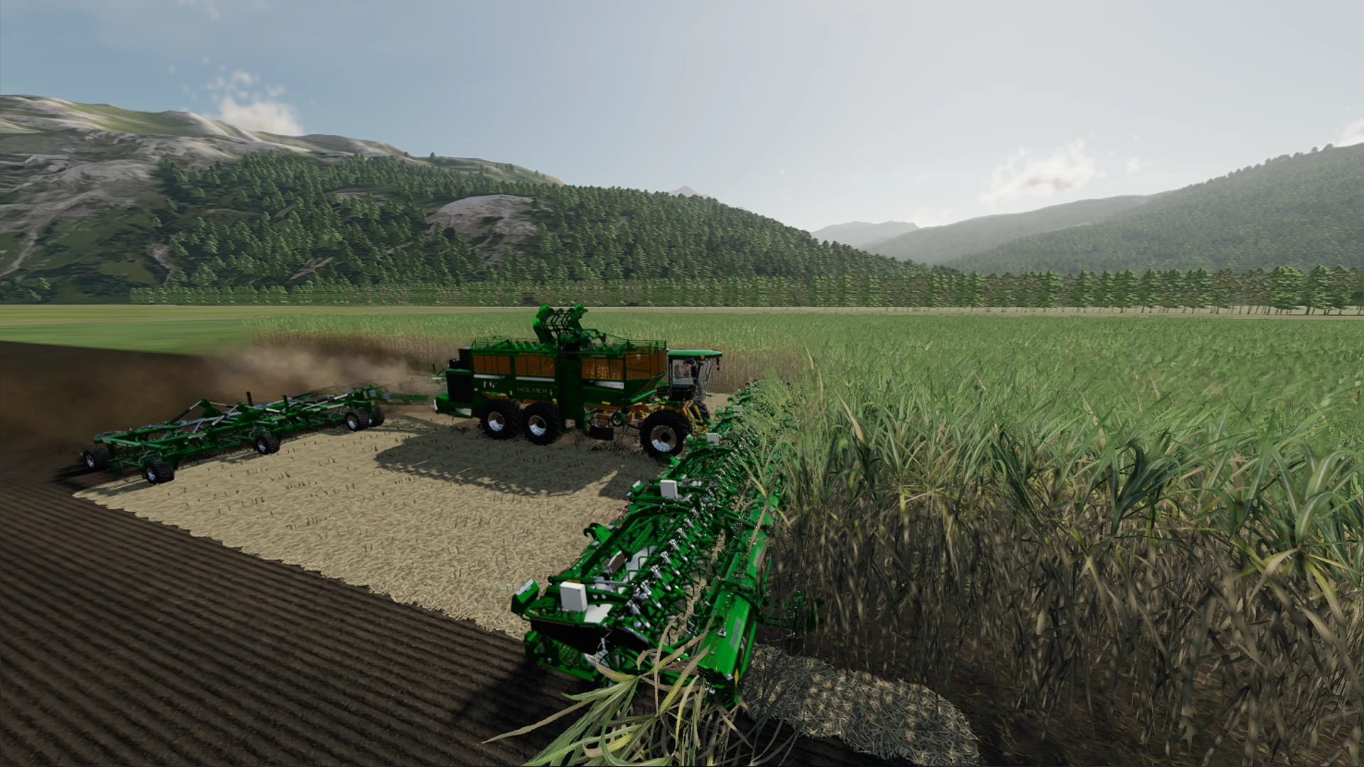 Sugarcane harvesting and planting 20M at a time!