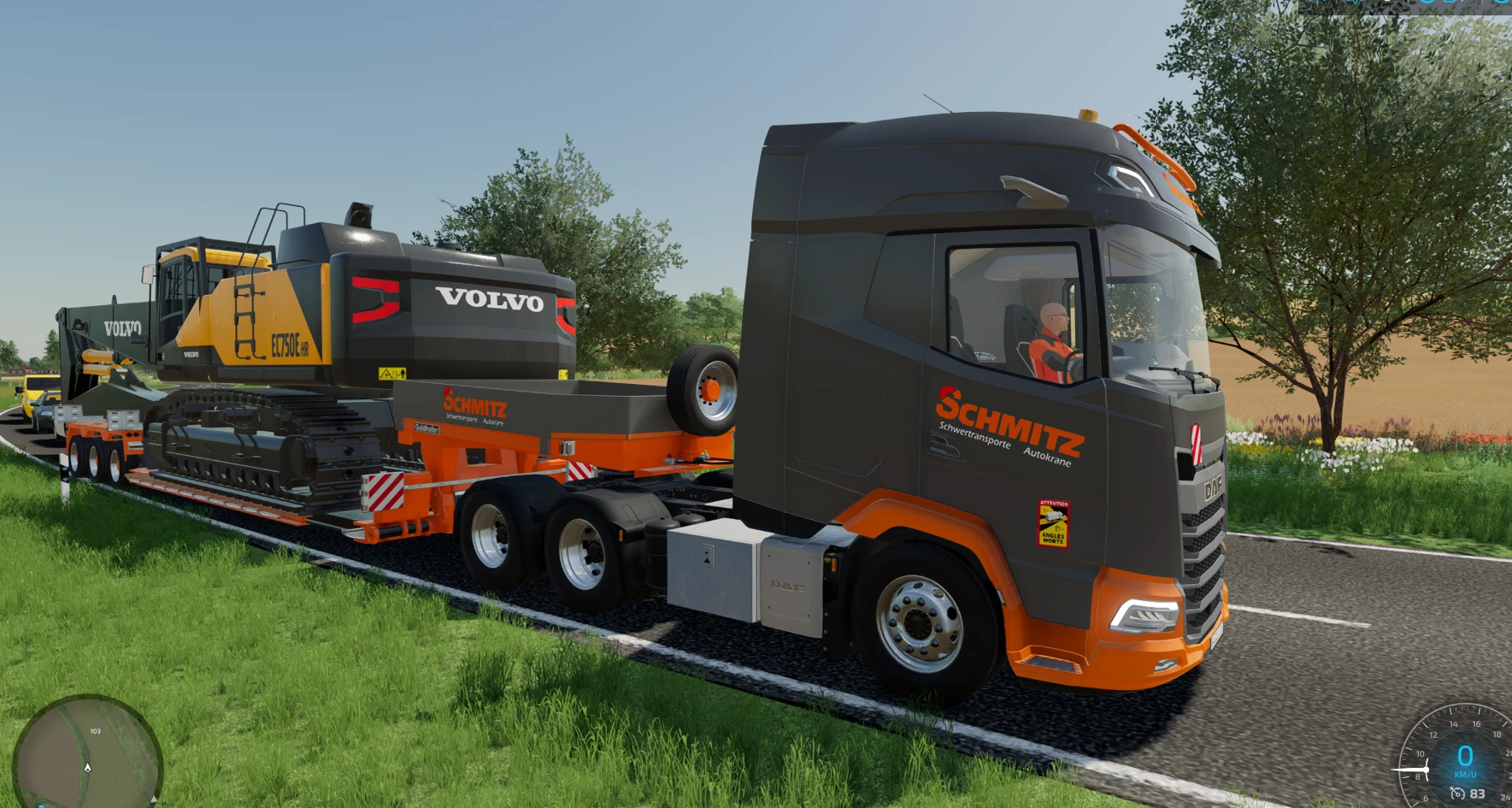 New year , New colors