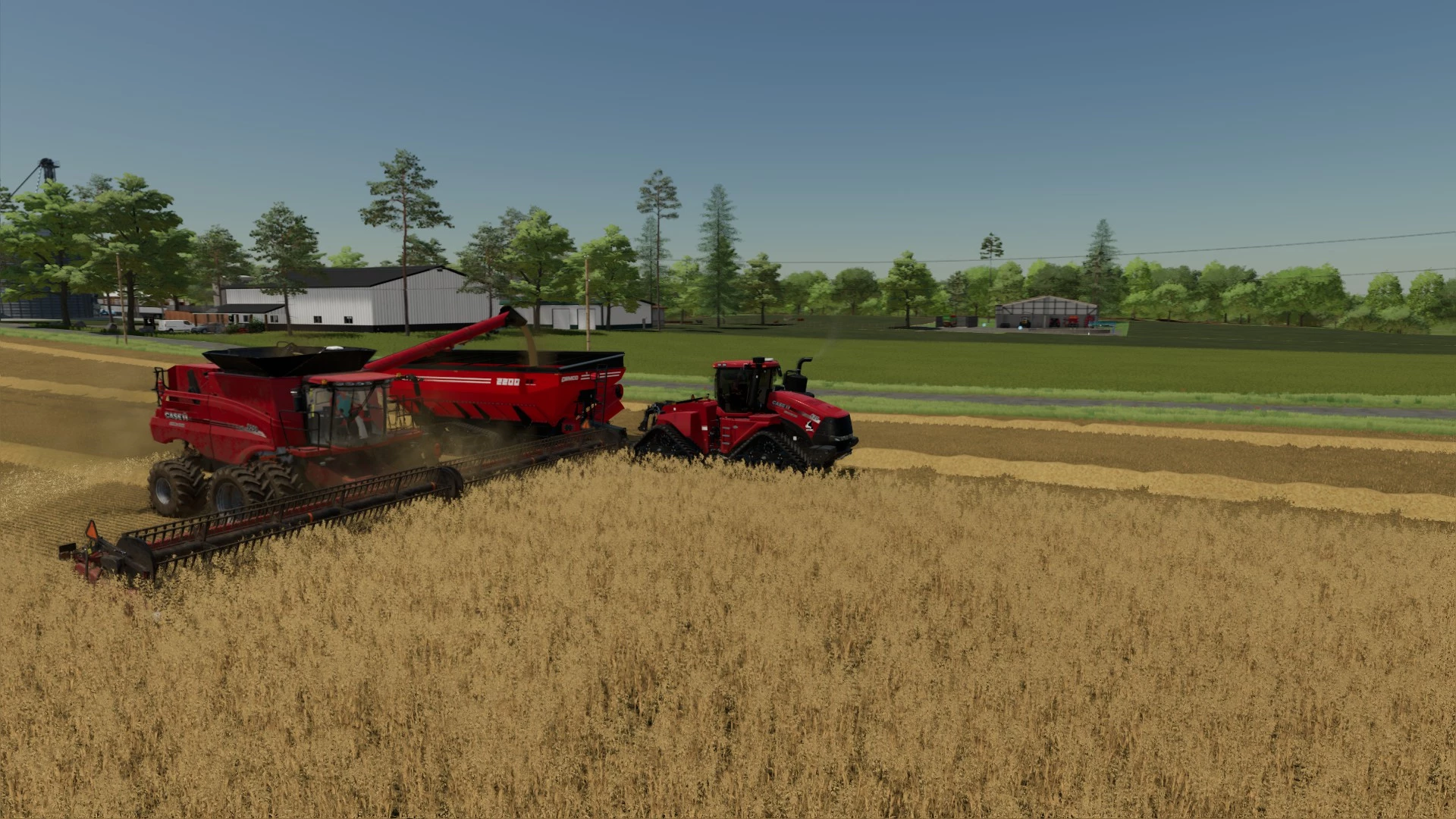 Harvesting oat