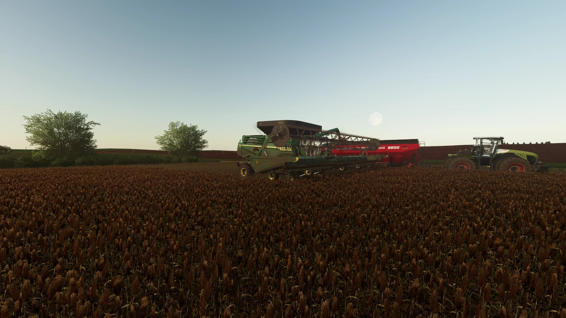 Sorghum harvest