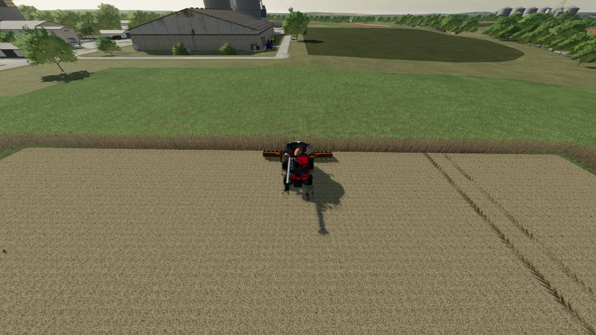 My Capello Quasar HS16 100m Sugarcane