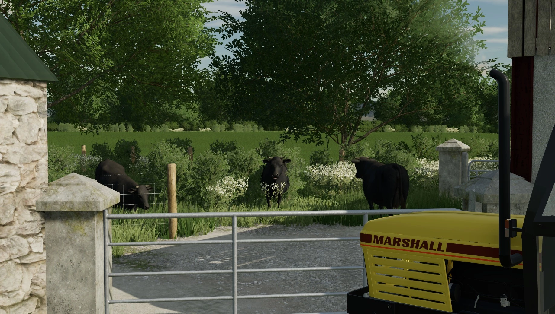 Irish themed modding