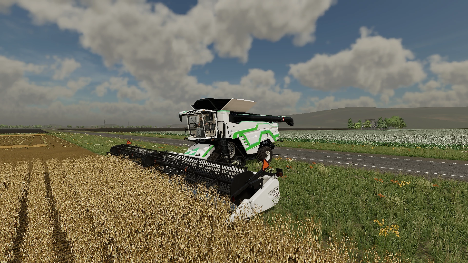 Récolte de haricots