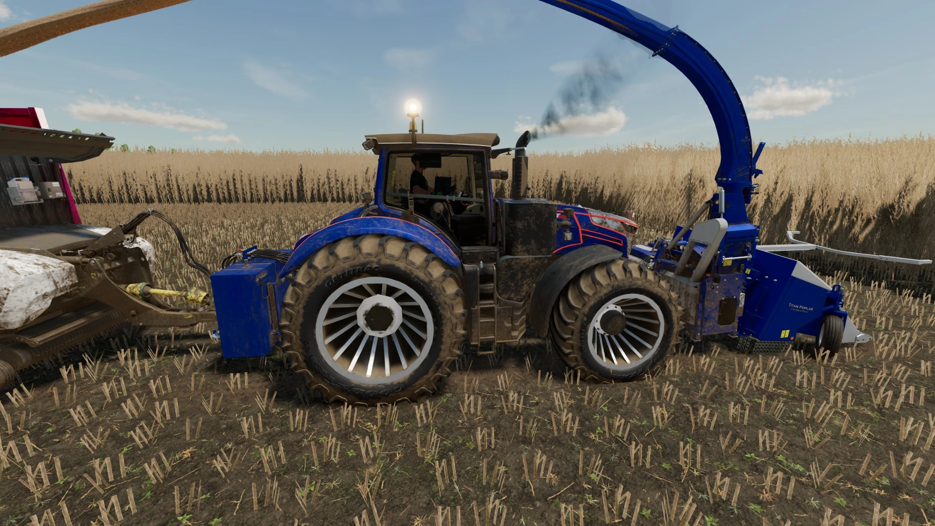 Récolte de peuplier pour la vente