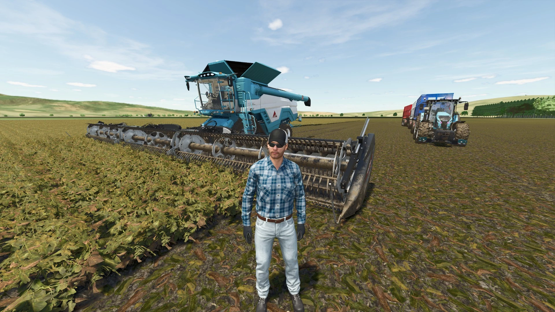 dans les récolte de patate sur 79 hectares