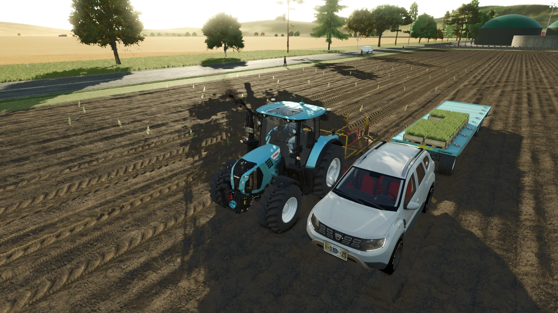 plantation de 260 ormes d'amérique