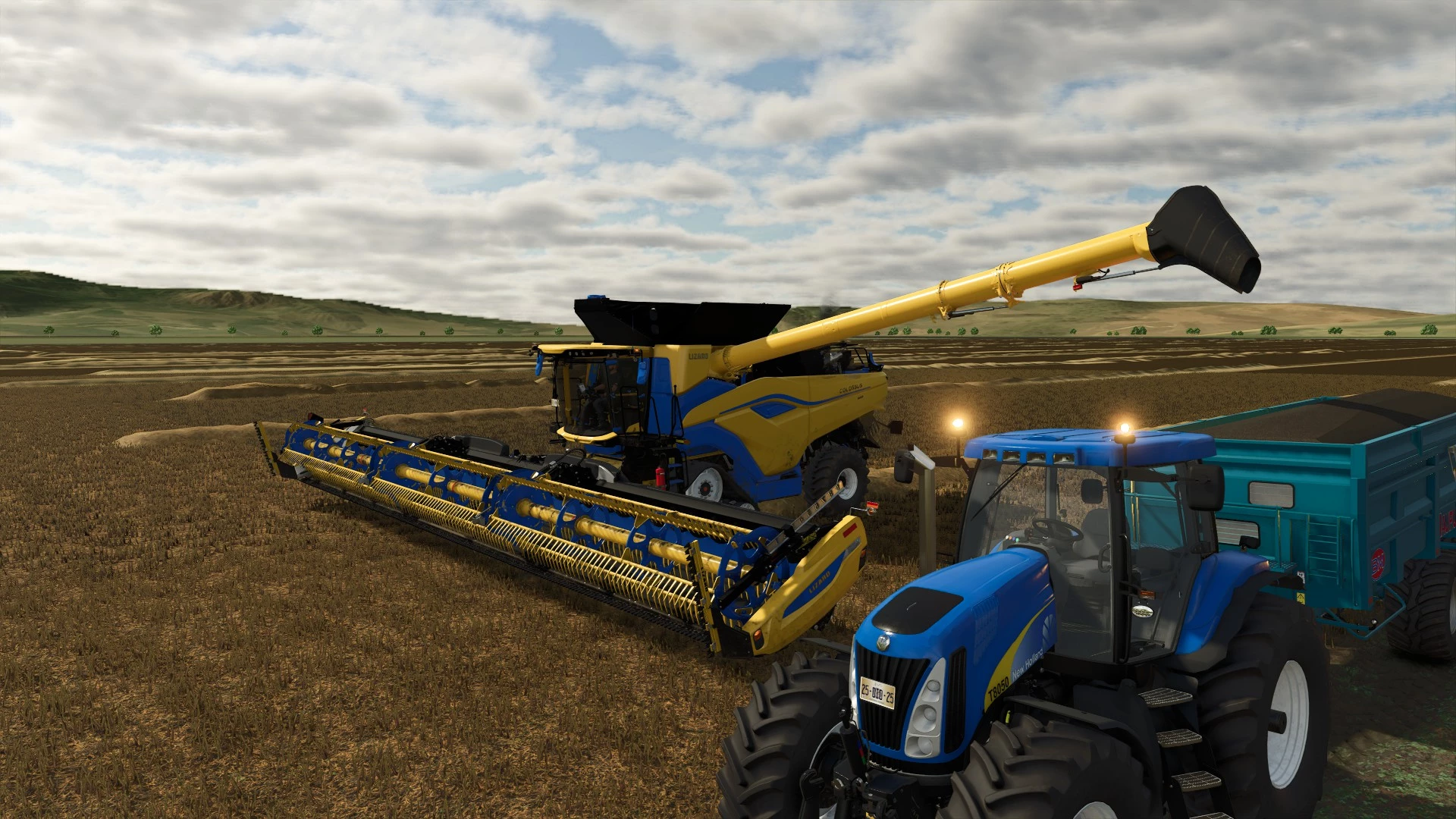 Dans les récoltes de colza.