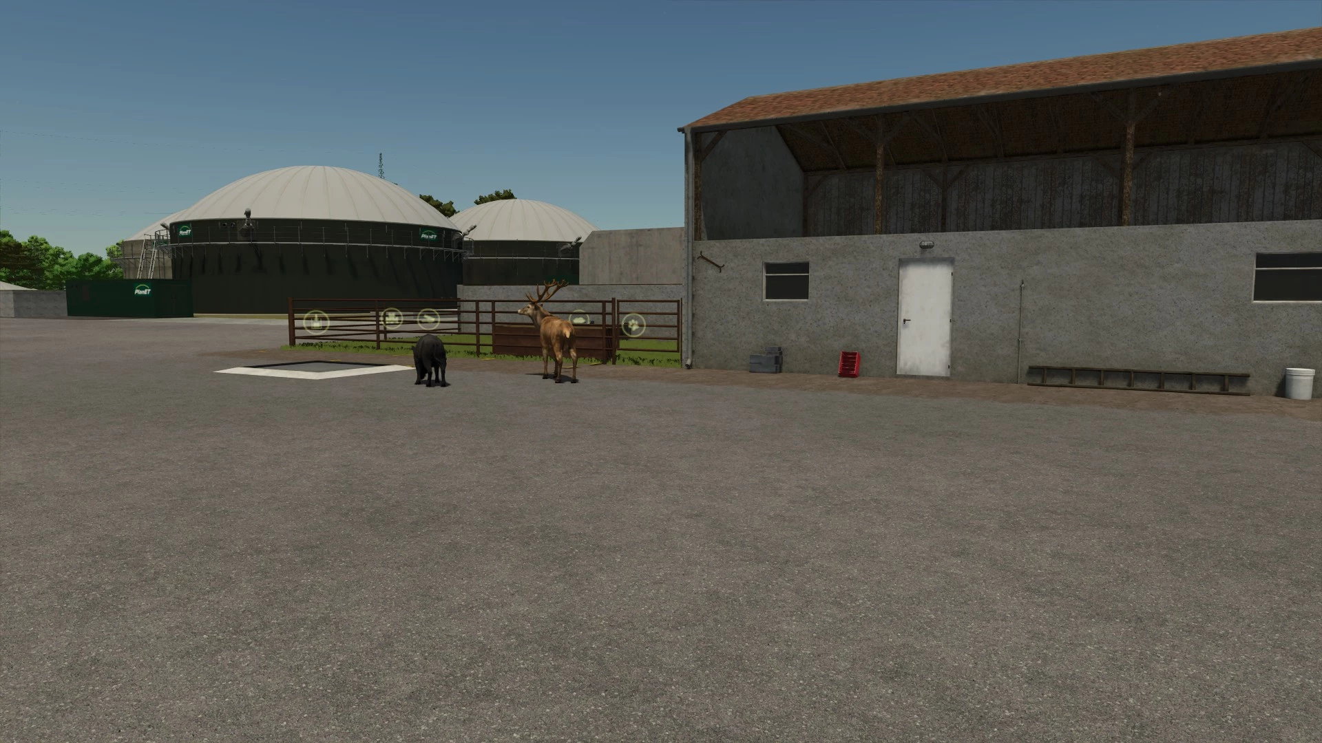 Les animaux sauvages